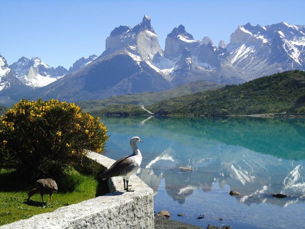 Hosteria Pehoe Torres del Paine National Park Zewnętrze zdjęcie